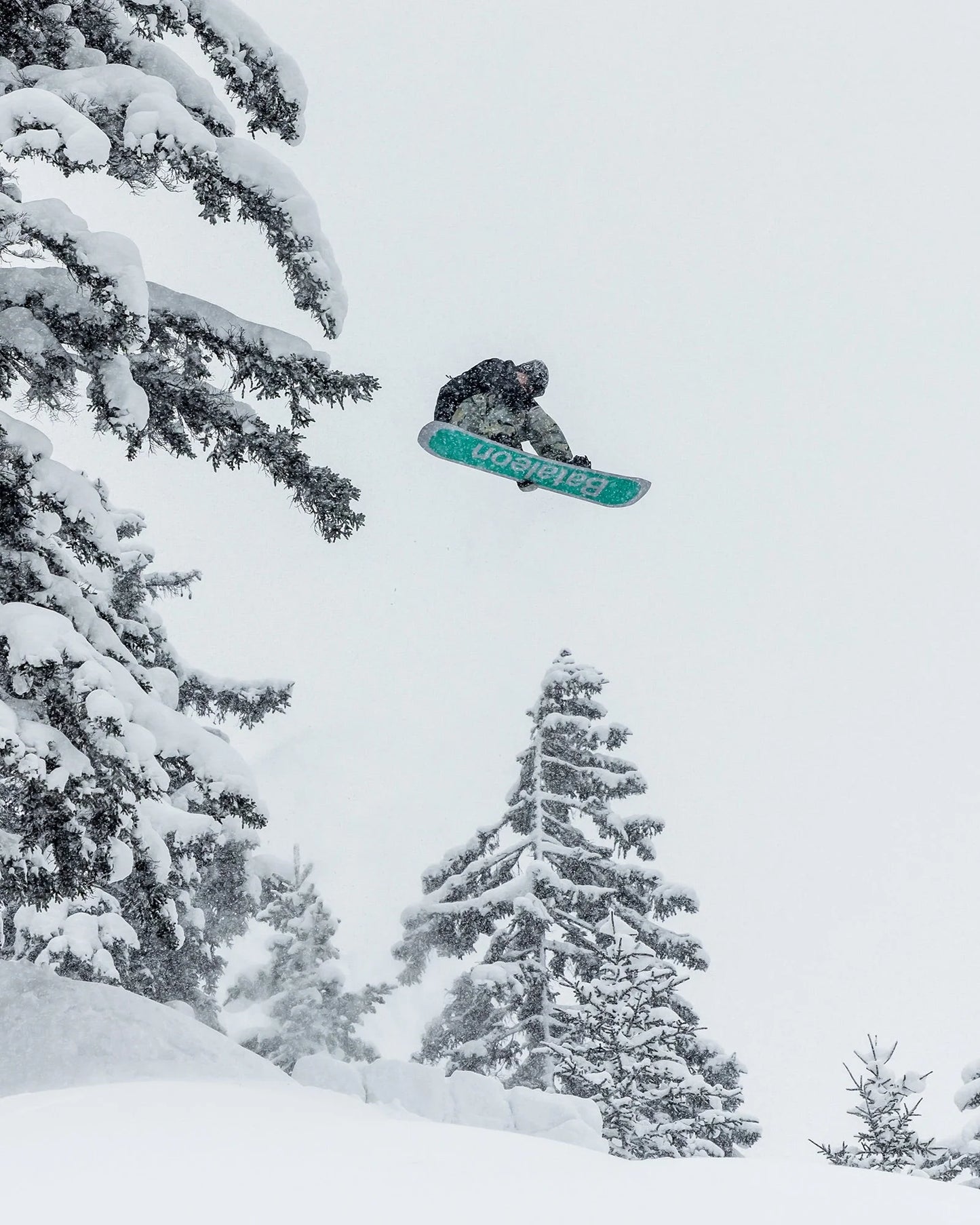 Bataleon Goliath 2026