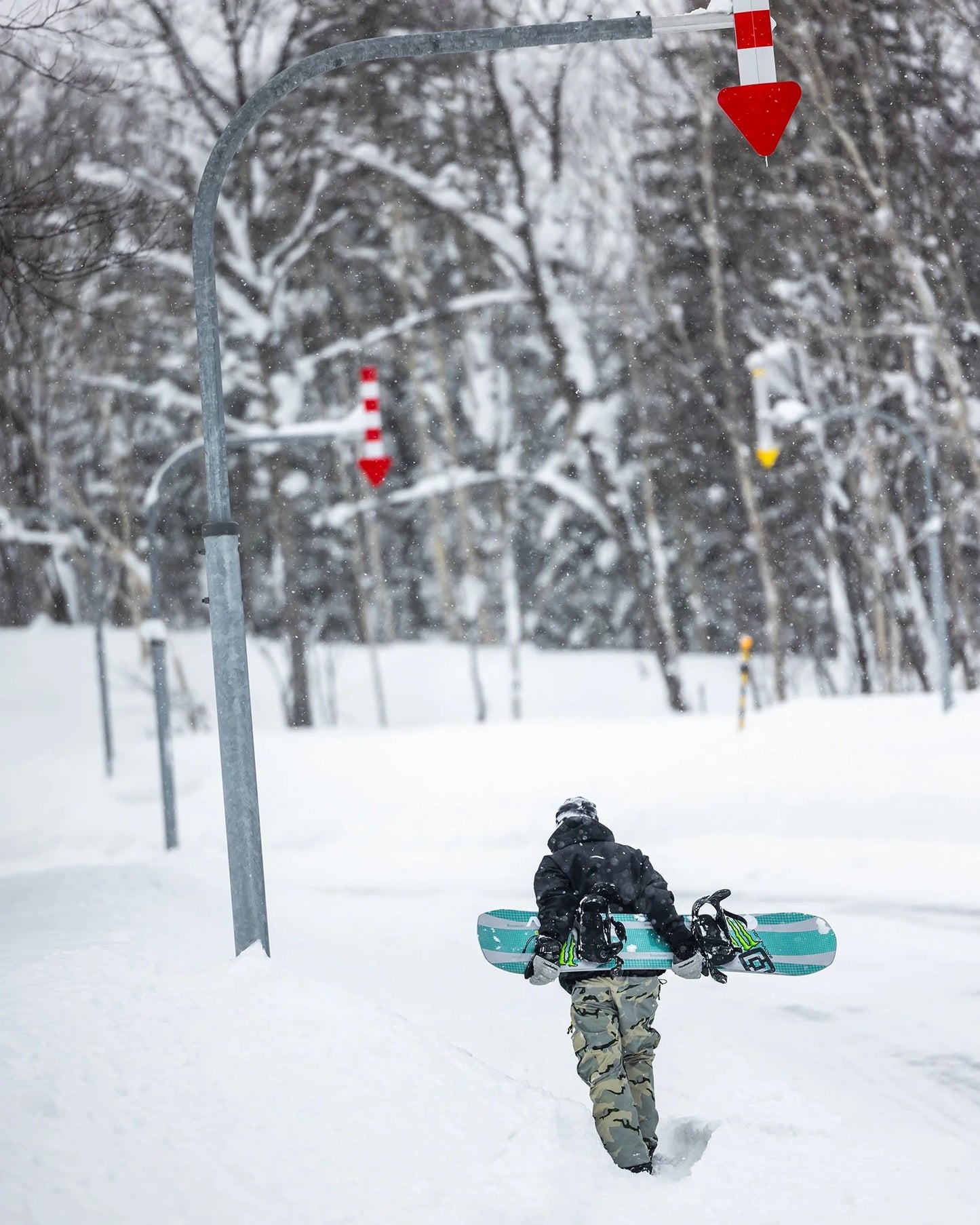 Bataleon Goliath 2026