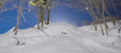 Bataleon Evil Twin - 20Y Anniversary